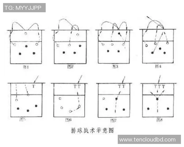 广州排球队意识对比深度解析与战术影响探讨