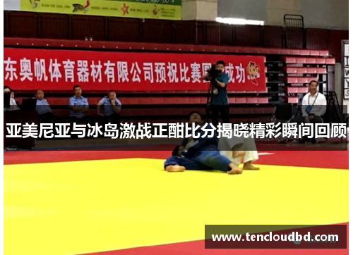 亚美尼亚与冰岛激战正酣比分揭晓精彩瞬间回顾